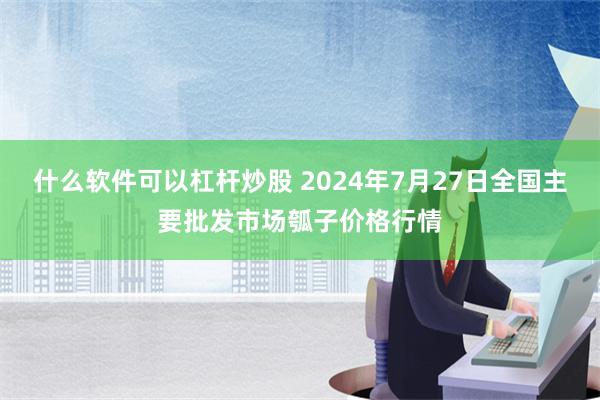 什么软件可以杠杆炒股 2024年7月27日全国主要批发市场瓠子价格行情