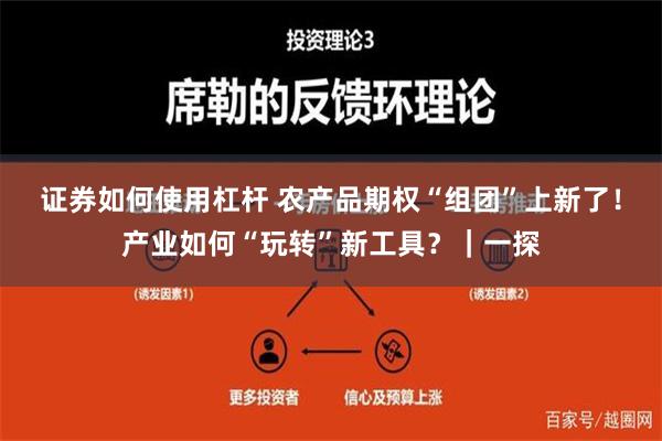 证券如何使用杠杆 农产品期权“组团”上新了！产业如何“玩转”新工具？｜一探