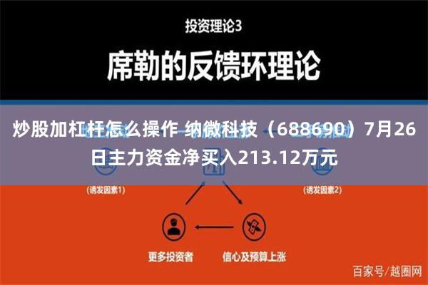 炒股加杠杆怎么操作 纳微科技（688690）7月26日主力资金净买入213.12万元