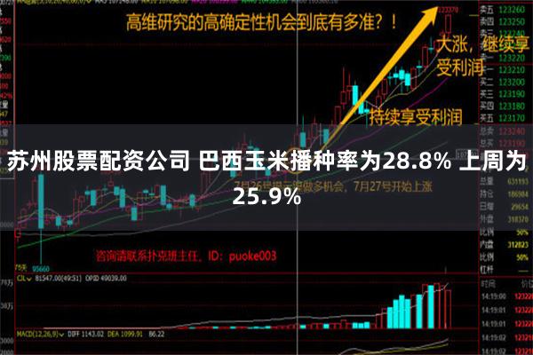 苏州股票配资公司 巴西玉米播种率为28.8% 上周为25.9%