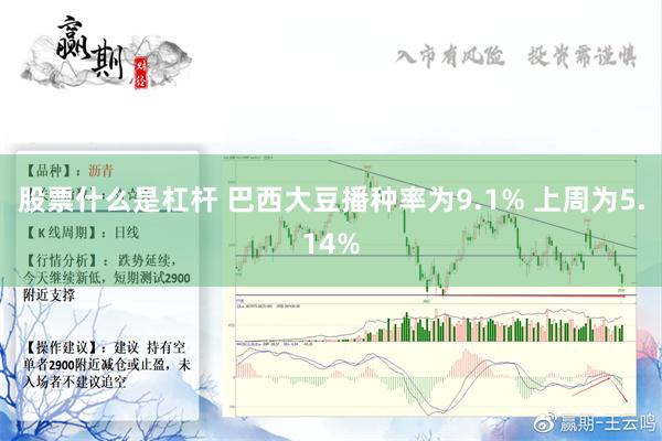 股票什么是杠杆 巴西大豆播种率为9.1% 上周为5.14%