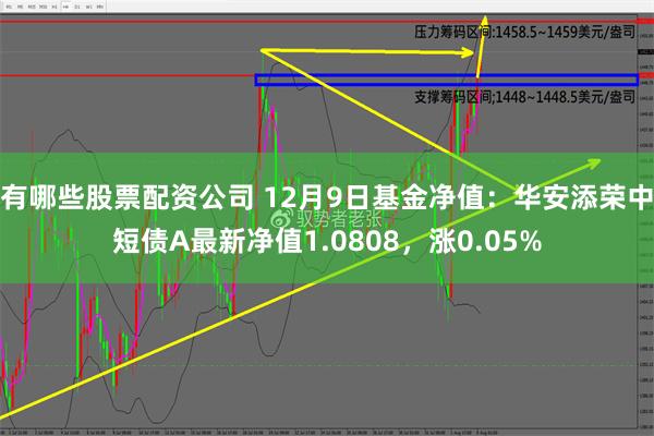 有哪些股票配资公司 12月9日基金净值：华安添荣中短债A最新净值1.0808，涨0.05%