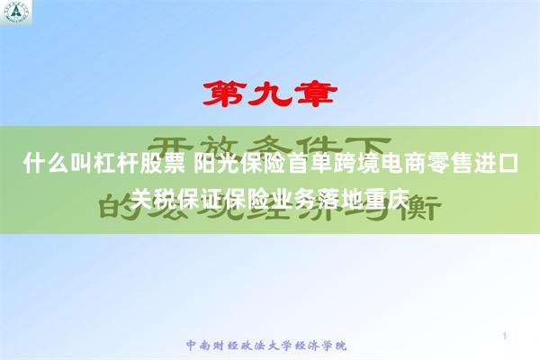 什么叫杠杆股票 阳光保险首单跨境电商零售进口关税保证保险业务落地重庆