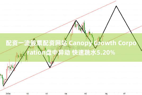 配资一流股票配资网站 Canopy Growth Corporation盘中异动 快速跳水5.20%