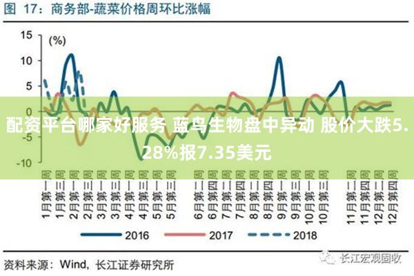 配资平台哪家好服务 蓝鸟生物盘中异动 股价大跌5.28%报7.35美元